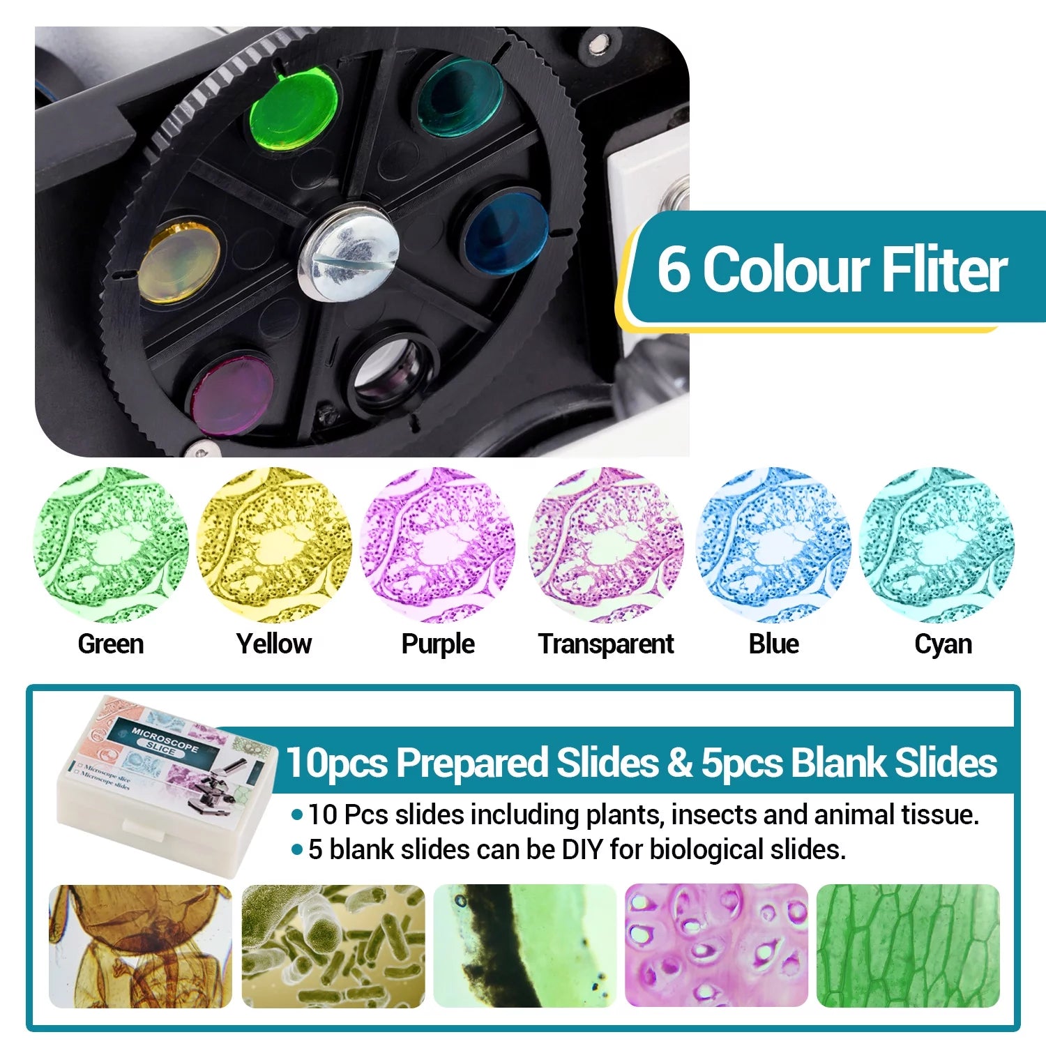 100X-2000X Microscope, Compound Powerful Biological Microscope for Kids Adults